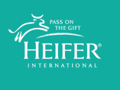 HR Consultant at Heifer International HR Consultant at Heifer International