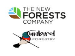 Junior Accountant at New Forests Company Junior Accountant at New Forests Company