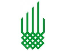 Project Assistant at Aga Khan Foundation Project Assistant at Aga Khan Foundation