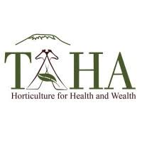 Senior Declaration Officer Job Vacancy at TAHA Fresh Handling Ltd